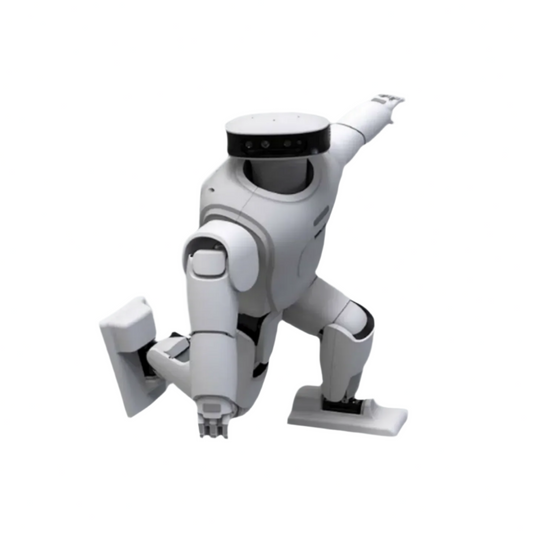 Roban