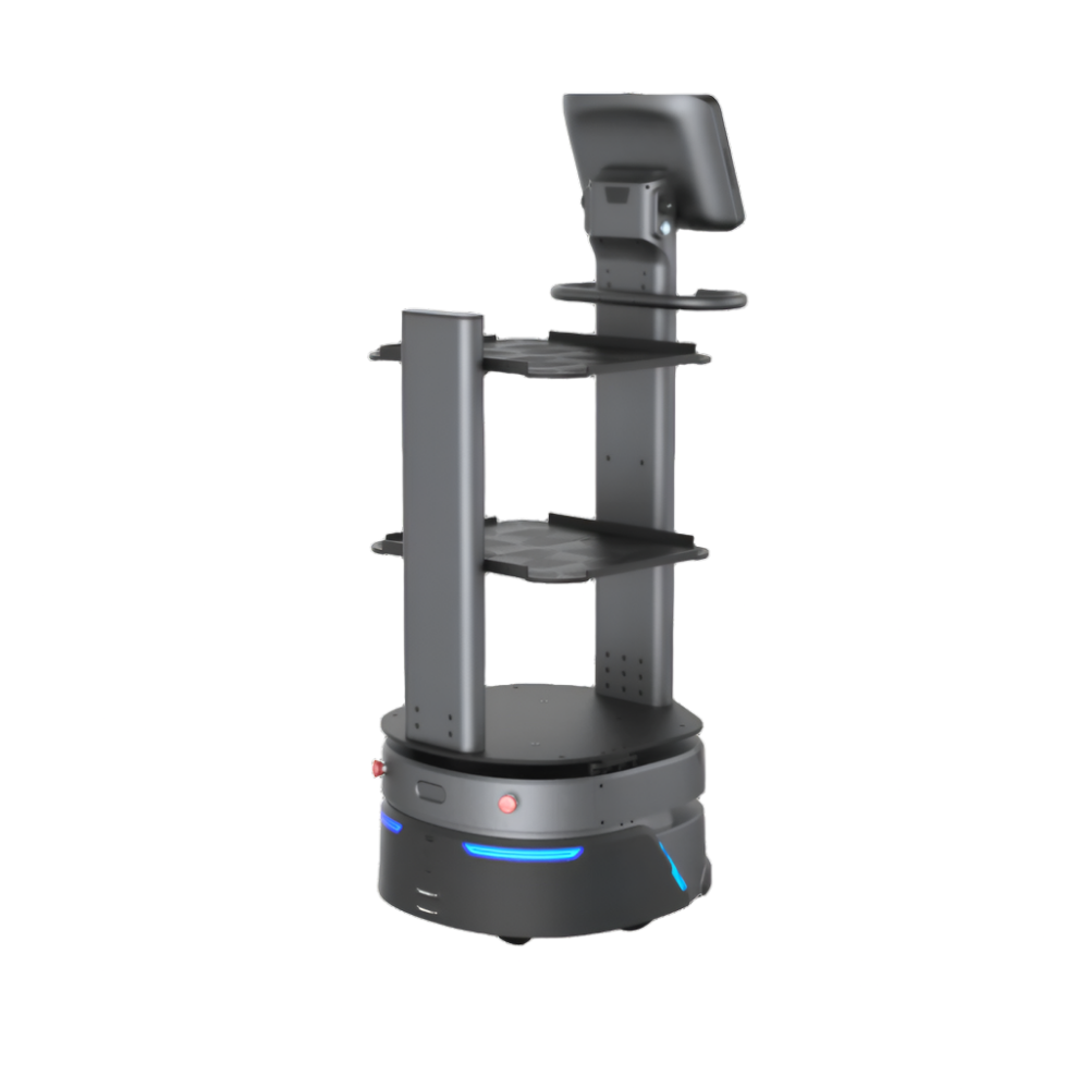 CarryBot 2