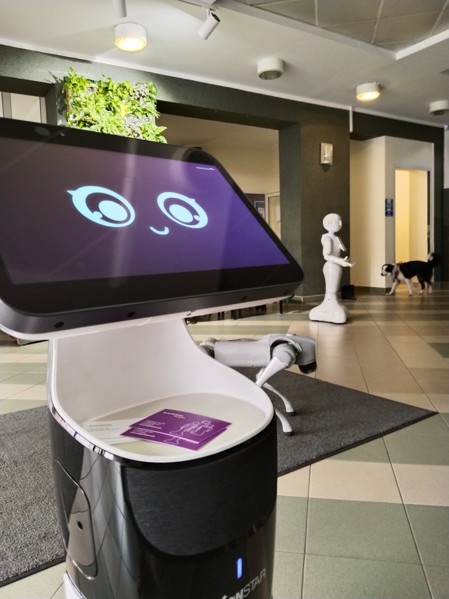 Robot kelner Lucki w kawiarni z pracownikiem